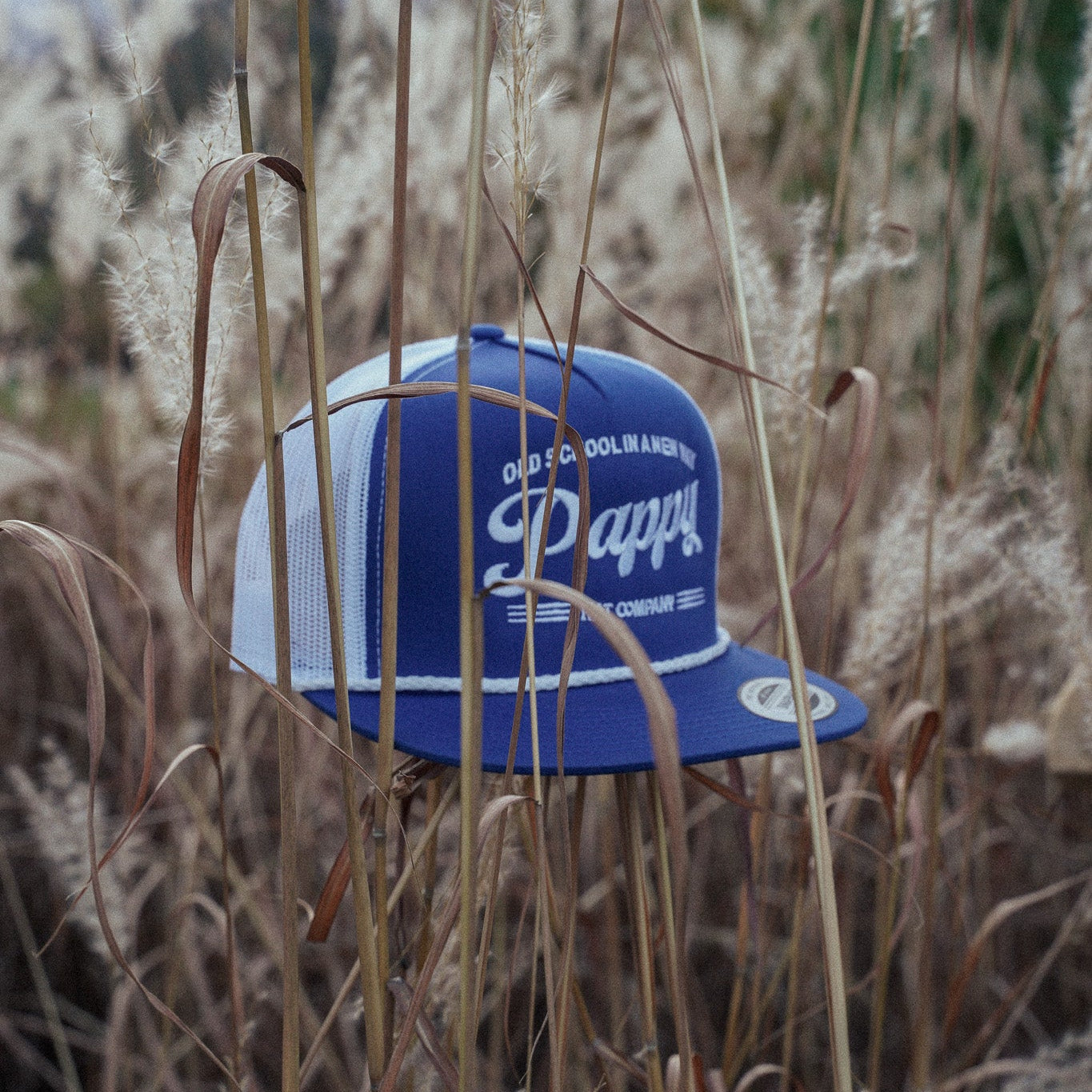 Old School Royal Blue